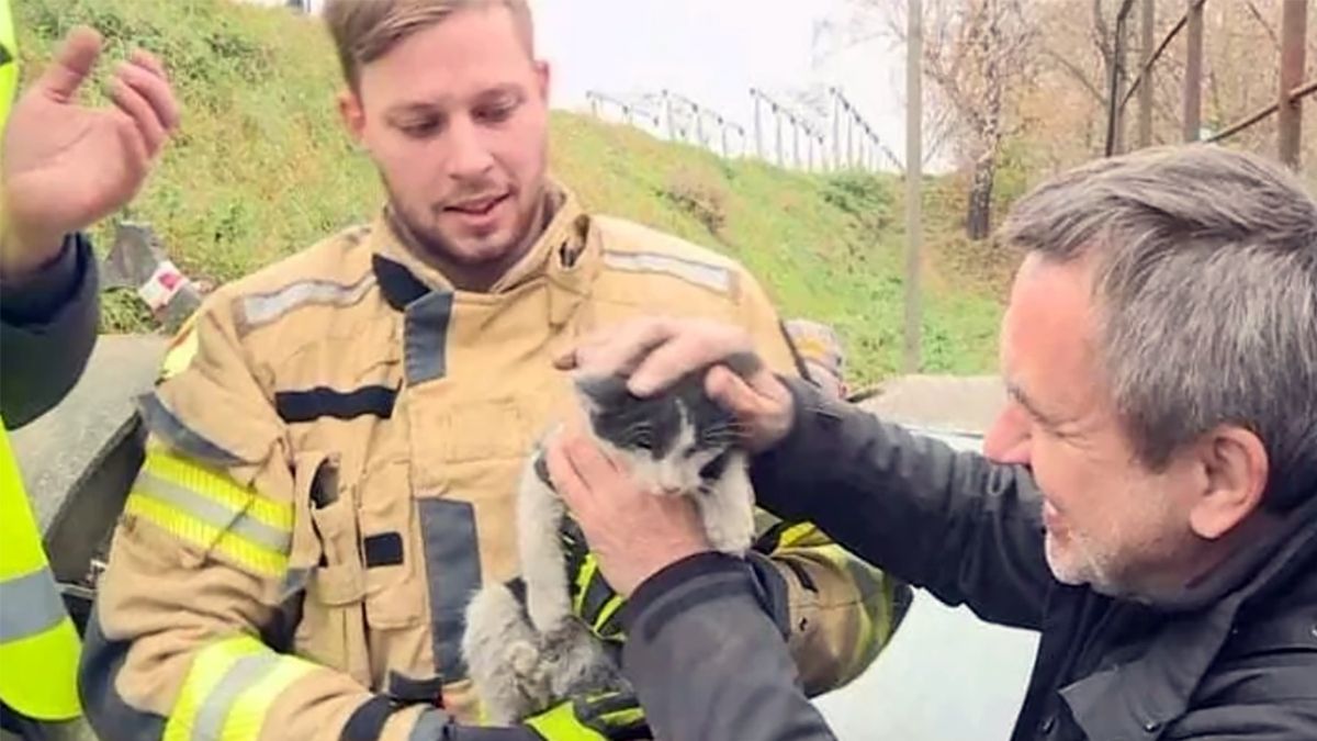 Po długich staraniach zwierzę udało się uwolnić