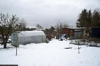 5 tys. zł kary dla działkowców. Urzędnicy mierzą odległości od płotu