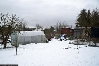 5 tys. zł kary dla działkowców. Urzędnicy mierzą odległości od płotu