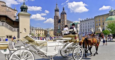 Kraków. Zmusił zwierzę do pracy, koń zmarł. Dorożkarz usłyszał zarzuty