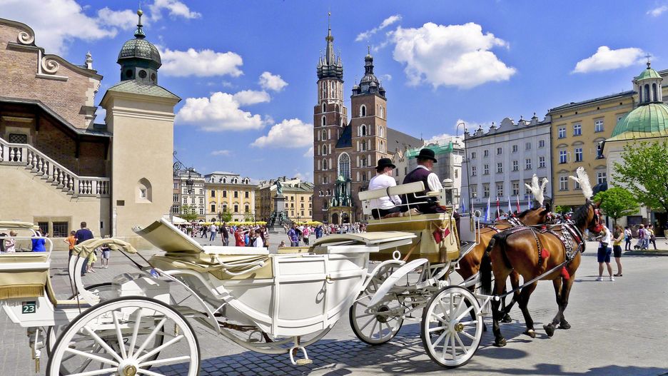 Kraków. Są zarzuty dla dorożkarza, który zmusił zwierzę do pracy, mimo choroby (zdjęcie ilustracyjne)