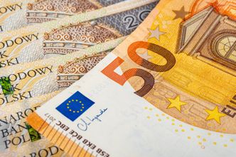 "Źródło zaburzeń w gospodarce". MF o możliwych skutkach przyjęcia euro w Polsce