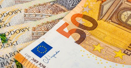 "Źródło zaburzeń w gospodarce". MF o możliwych skutkach przyjęcia euro w Polsce