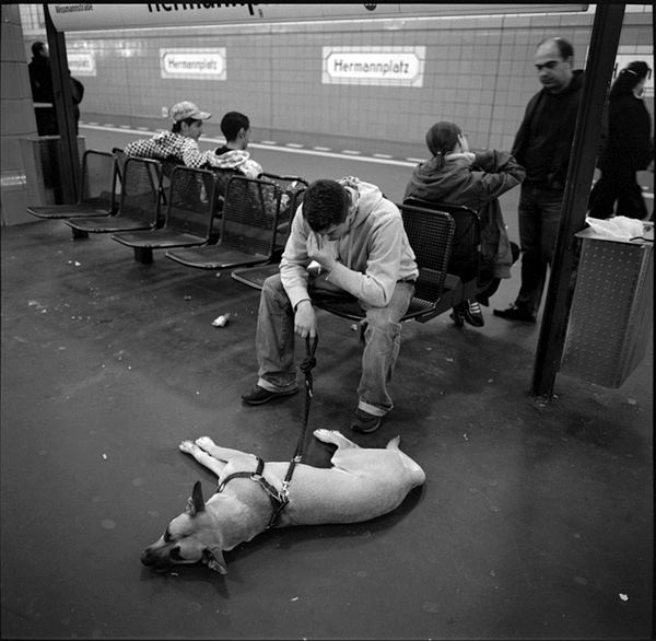 „Dog Stories" - pieskie życie na czarno-białych fotografiach Roberta Kresy 17
