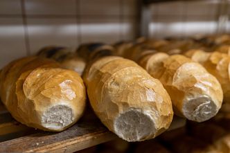 Na jesieni zabraknie chleba? "Taki scenariusz jest możliwy"