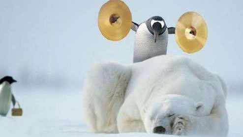 Alan obudzi się po raz drugi 1