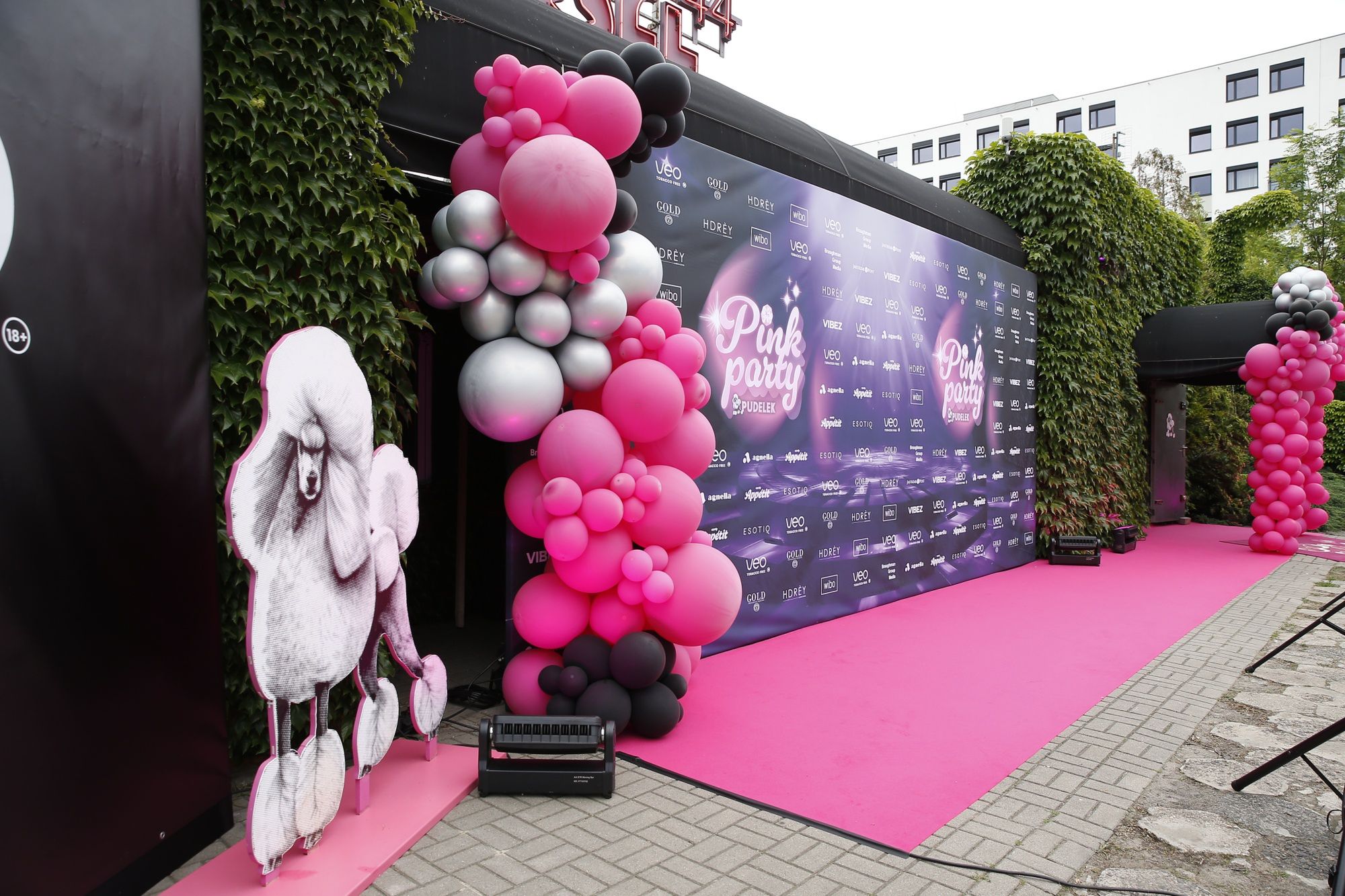 Pudelek Pink Party