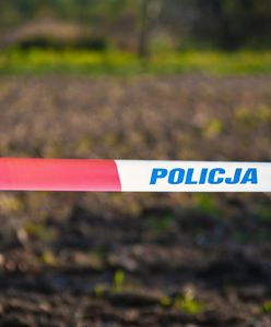 Tragiczne odkrycie w Poznaniu. Mieszkańcy wezwali policję