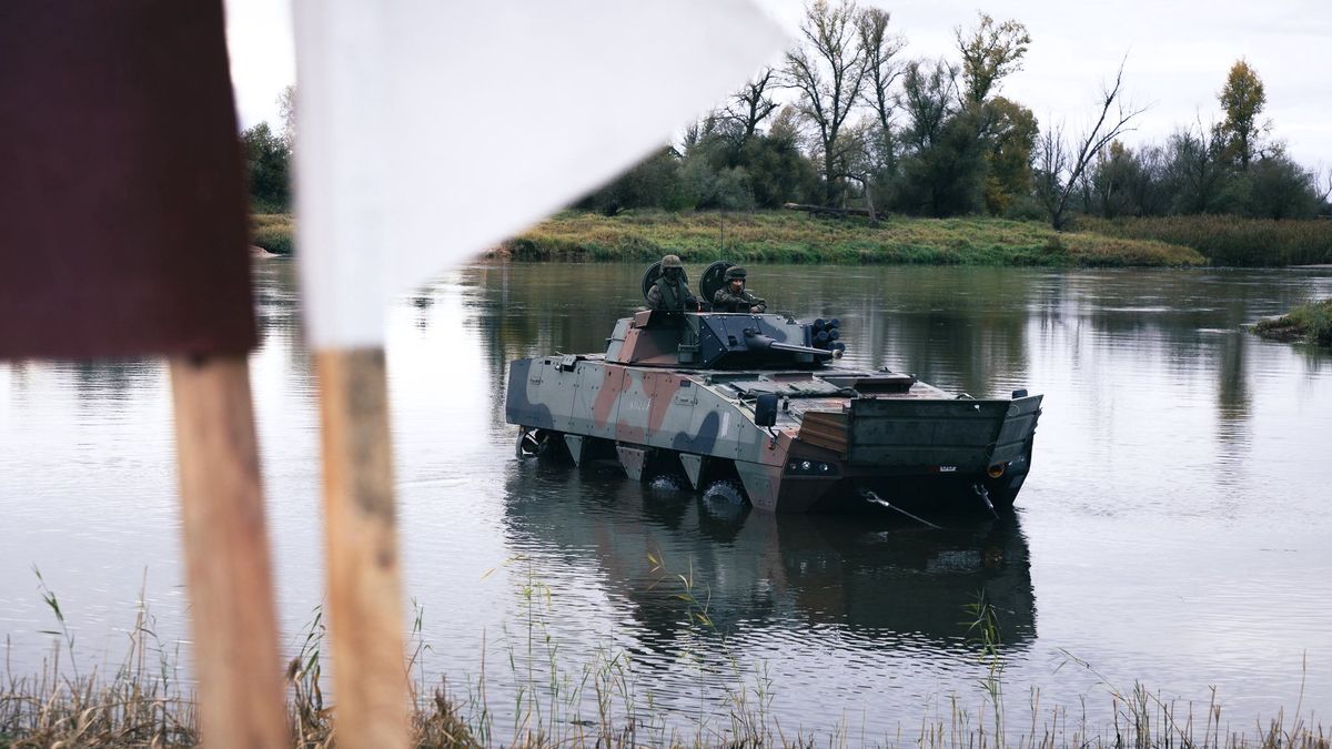 Rosomak w trakcie ćwiczeń