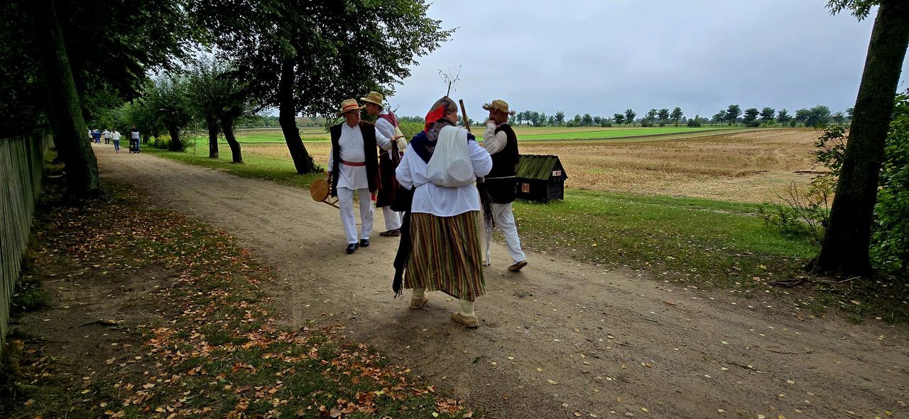 Wykopki 