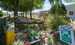 Dzieci siedziały na ławce. Spadł na nie konar