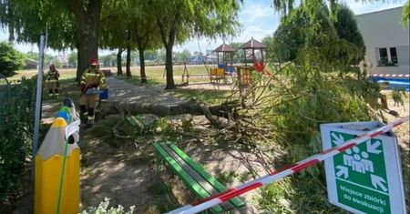 Dzieci siedziały na ławce. Spadł na nie konar