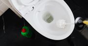 Trzy dni walczyła z zapchaną toaletą. Pomógł środek za grosze