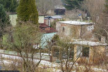 5 tys. zł kary dla działkowców. Urzędnicy mierzą odległości od płotu