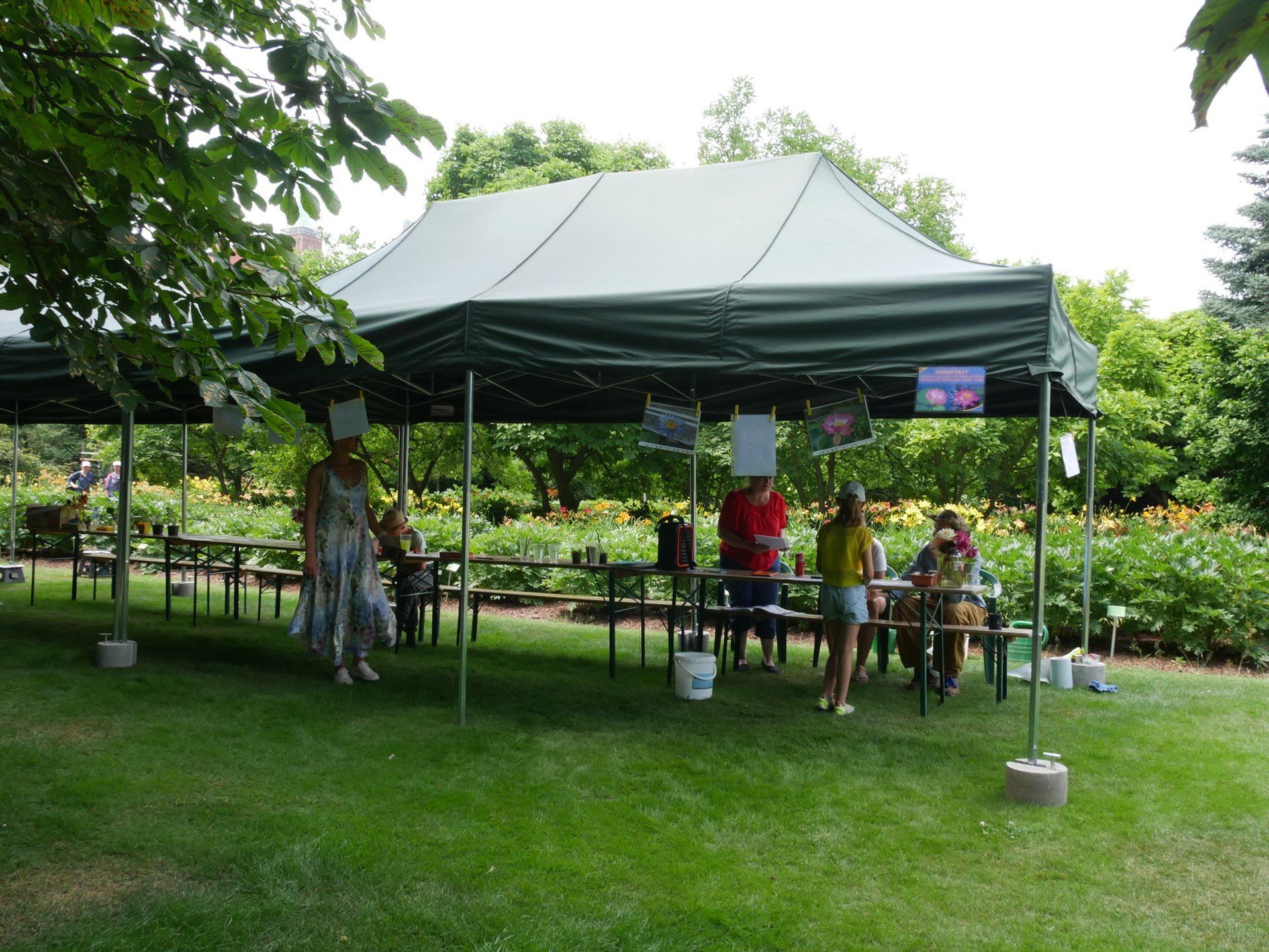 Ogród Botaniczny we Wrocławiu zachwyca latem. Kwitną hortensje, nenufary i róże, a wrocławianie szukają ochłody