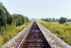 Wrocław: nowe mosty kolejowe pomiędzy Jelczem-Laskowicami a Wrocławiem