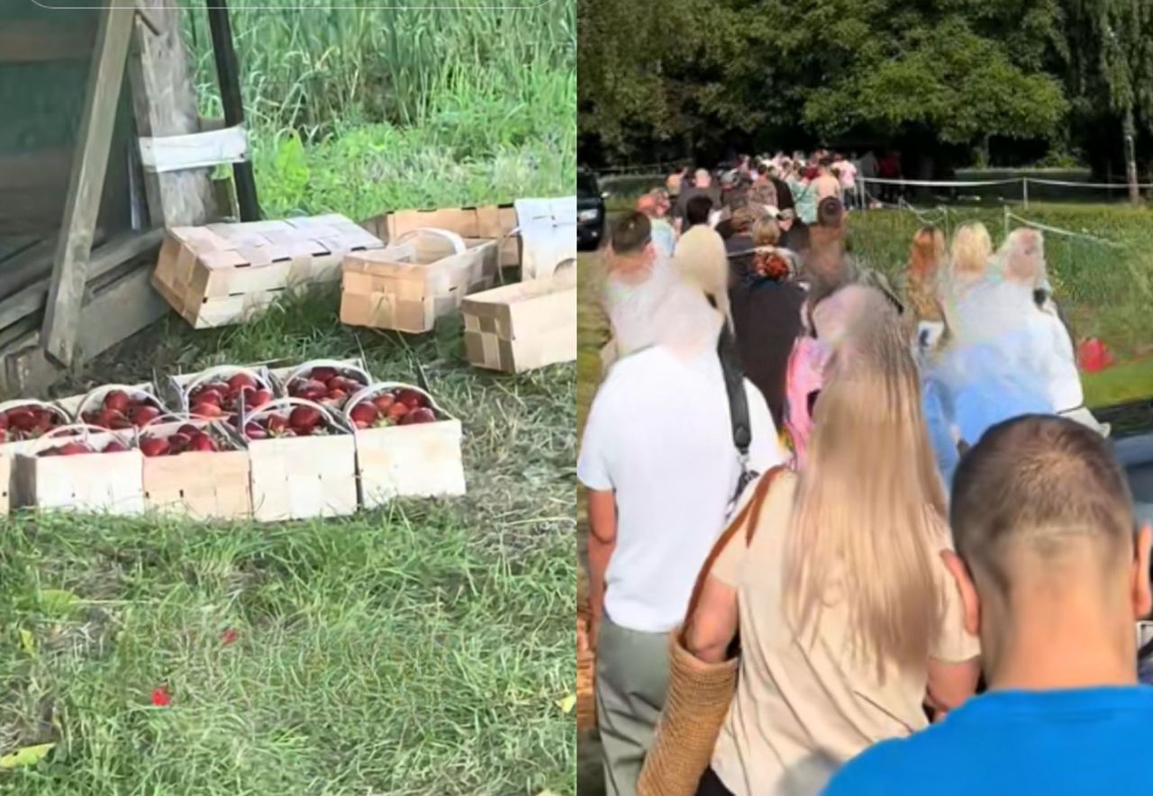Nagranie hitem sieci. Gigantyczna kolejka po truskawki