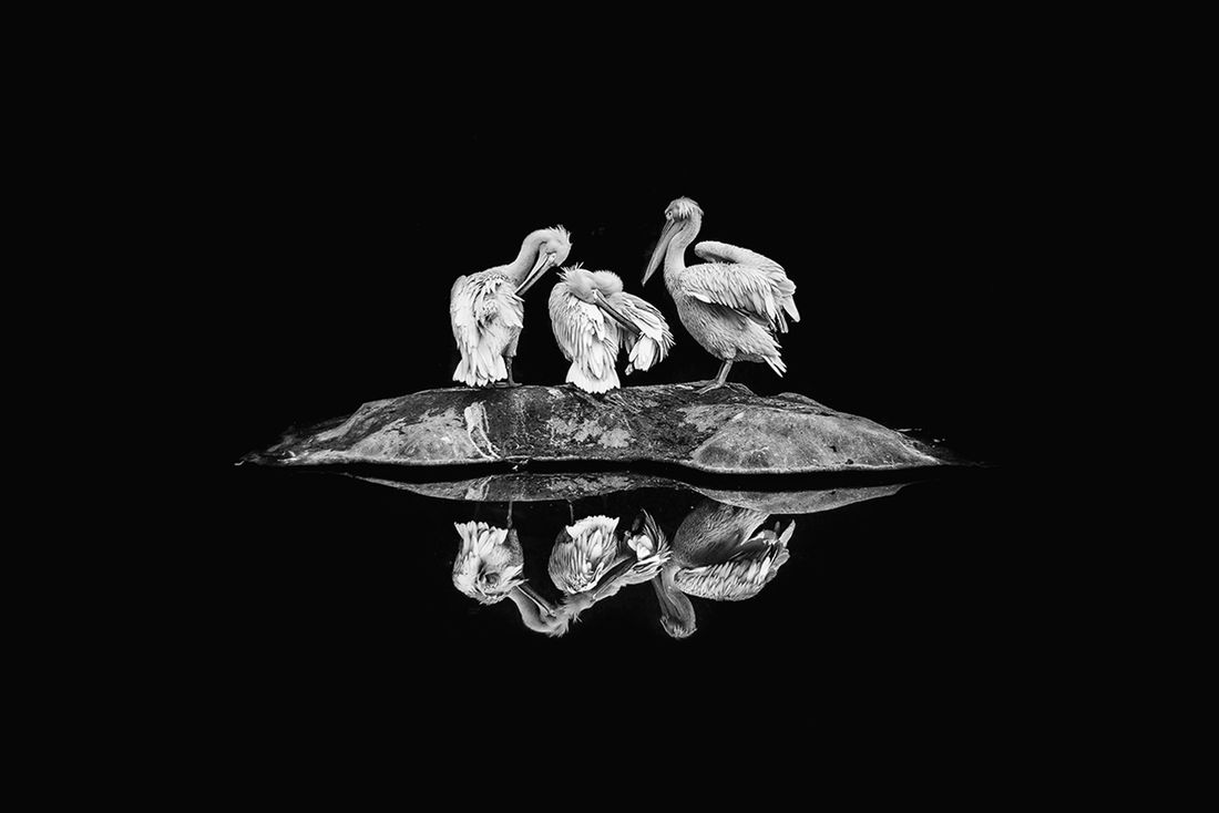 MonoVisions Photography Awards: Bartek Brudek i Arkadiusz Kulasik z nagrodami 9