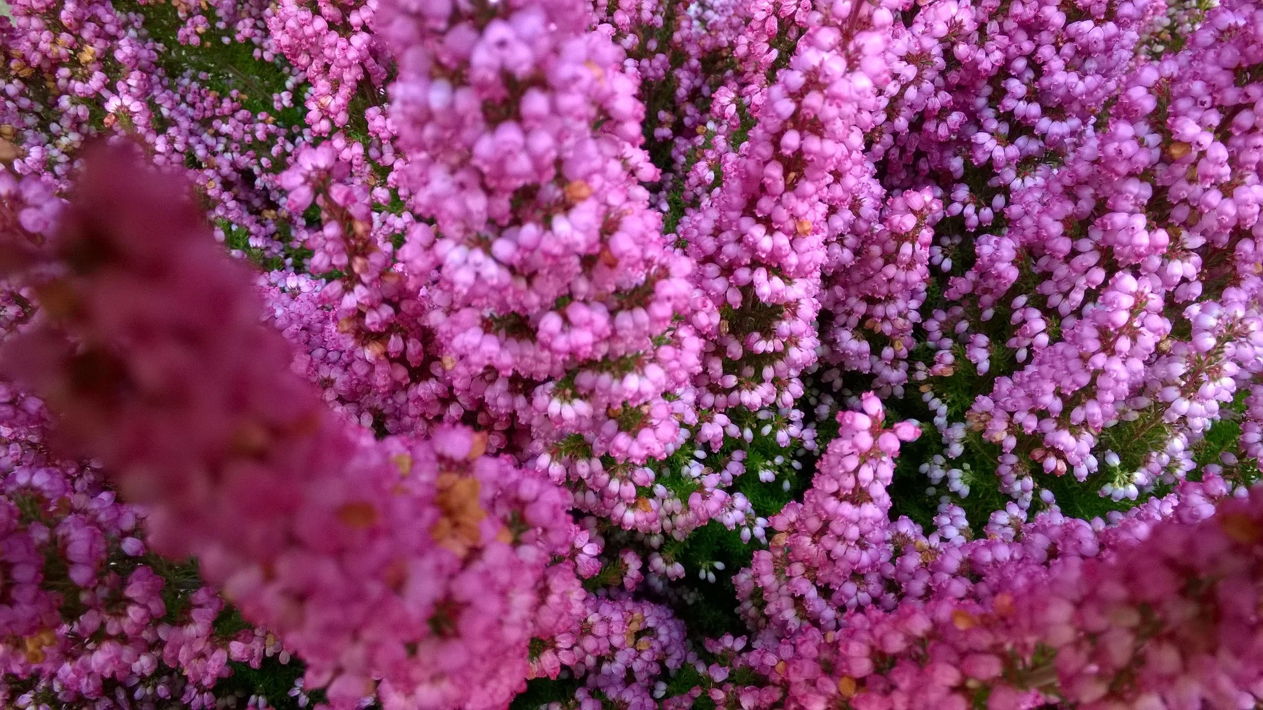 Nokia Lumia 830 - test aparatu 13