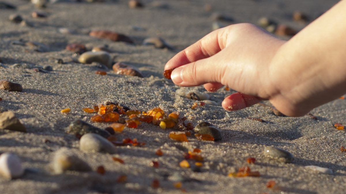 Gdzie szukać bursztynów? Ekspert radzi
