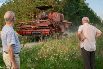 Ceny produktów rolnych niższe niż przed rokiem. Wyjątkiem trzoda chlewna