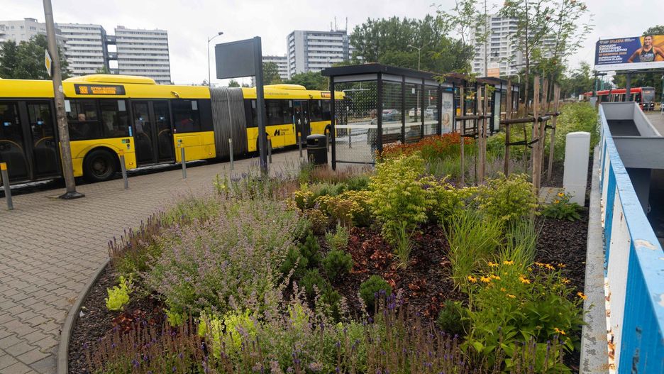 Tak po przebudowie wygląda przystanek autobusowy &#34;Śląski Ogród Zoologiczny&#34; przy ul. Chorzowskiej w Katowicach