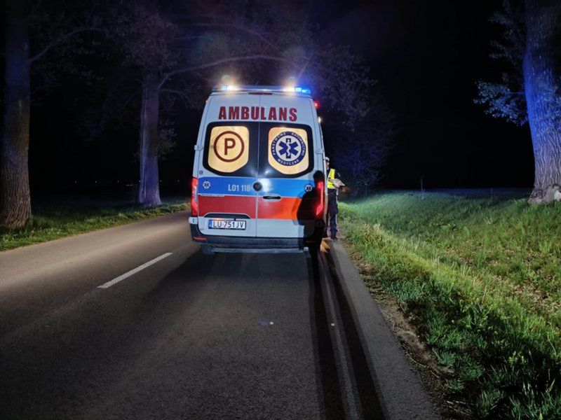 Zdjęcie 1 z 5