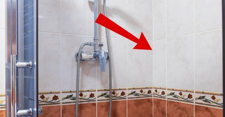 Nie czyścisz tych miejsc? To tam najczęściej pojawia się pleśń