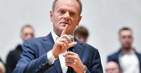 "Donald Tusk przebiera się za wilka w owczej skórze". Politycy PiS: nie dajcie się oszukać