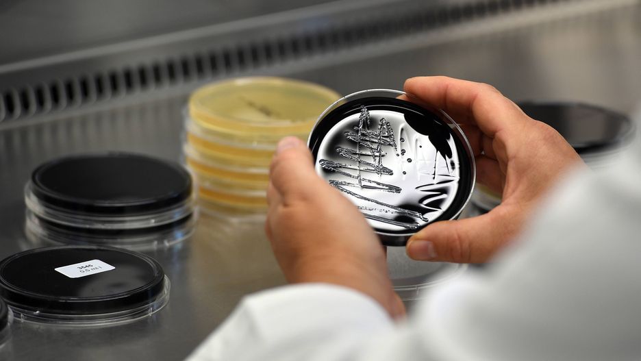 Zdjęcie ilustracyjne