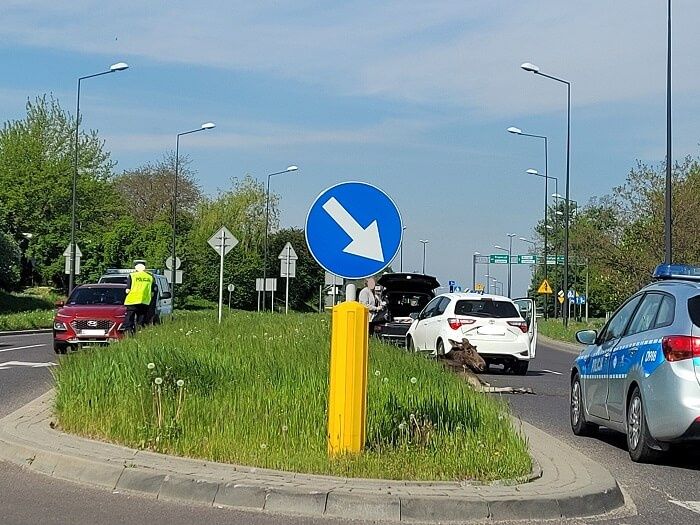 Potrącony łoś na ul. Węglarza w Lublinie