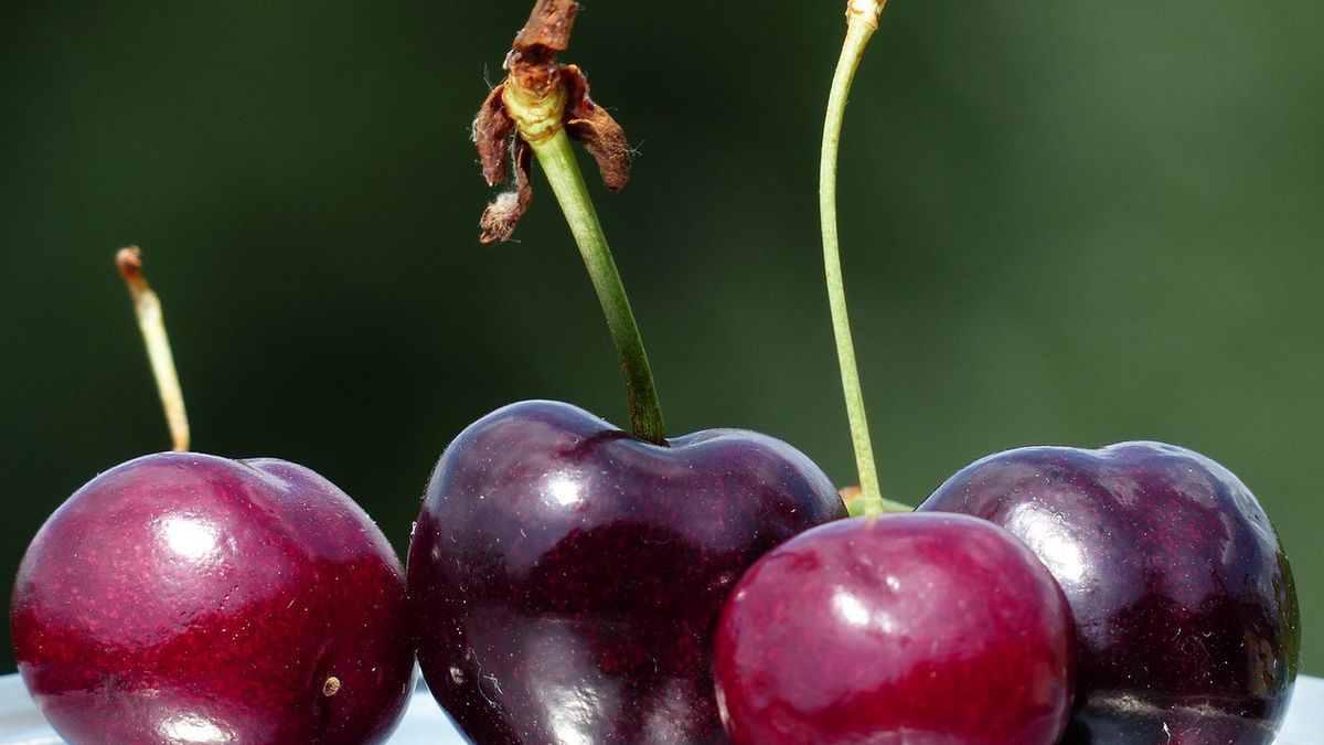 Czy zjedzenie robaczywego owocu może nam zaszkodzić?