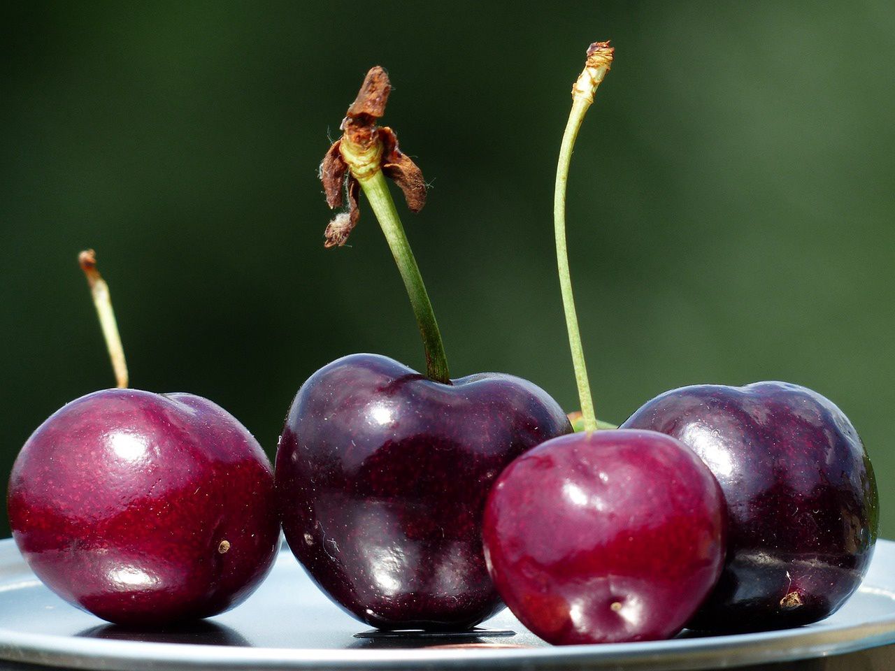 Are worms in your fruit safe to eat? Experts weigh in