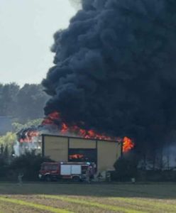 Czarny dym nad halą. Spłonęły folie w Siarzewie