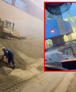 Zamieszanie ws. nagrania z Gdyni. Terminal zaprzecza: Zboże nie zostaje w Polsce