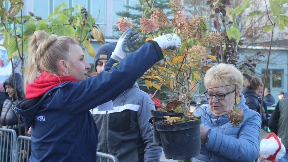 Tak było podczas akcji &#34;Drzewko za makulaturę&#34; w Bełchatowie w 2024 roku