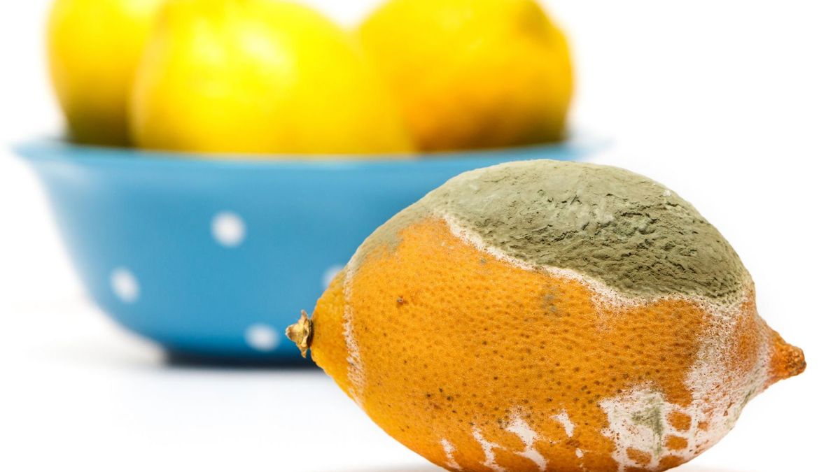 Mianem ksenobiotyku określa się związek chemiczny, niewystępujący naturalnie w żywym organizmie.