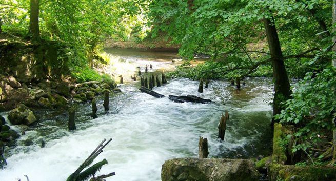 TVP, BWM Art, Telewizja Kraśnik i Tomorrow chcą zająć się promocją parków narodowych
