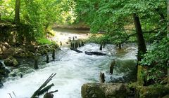 TVP, BWM Art, Telewizja Kraśnik i Tomorrow chcą zająć się promocją parków narodowych