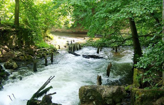 TVP, BWM Art, Telewizja Kraśnik i Tomorrow chcą zająć się promocją parków narodowych
