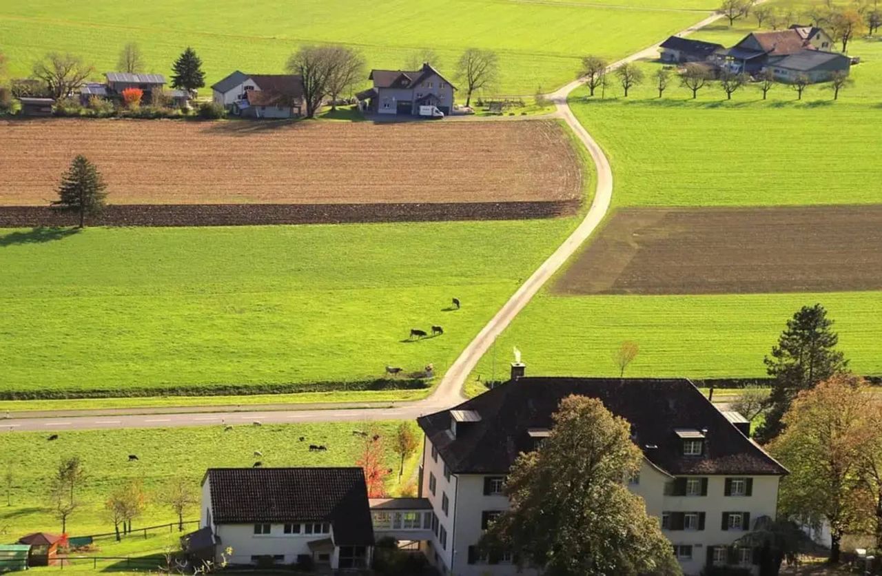 Petycja w obronie WPR. Copa i Cogeca mobilizują rolników w całej UE