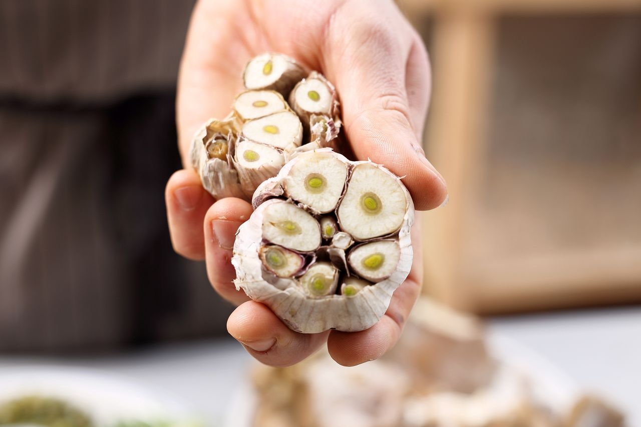 Embrace sustainable living: a simple guide to cultivating garlic at home