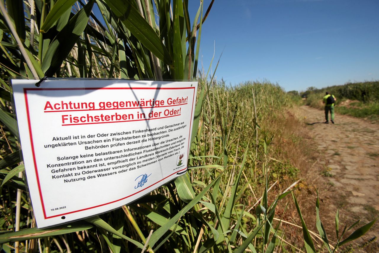 Niemcy już wiedzą. Urzędnik ujawnił pierwsze wyniki badań