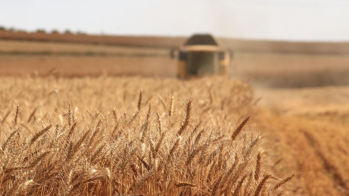 Podatek rolny jest rodzajem daniny, jaka nakładana jest na gospodarstwa rolne działające od 1985 roku. 