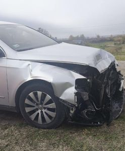 O włos od śmierci. Zignorował STOP i uderzył w pociąg pasażerski