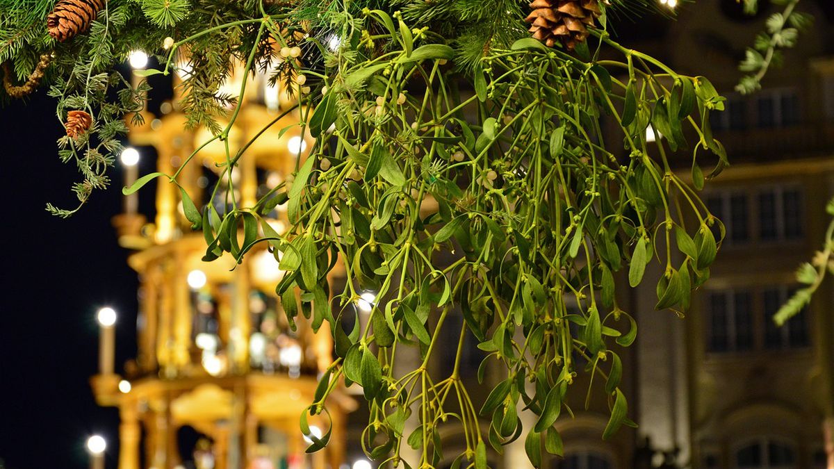 Zrób to z jemiołą po świętach. Genialny sposób