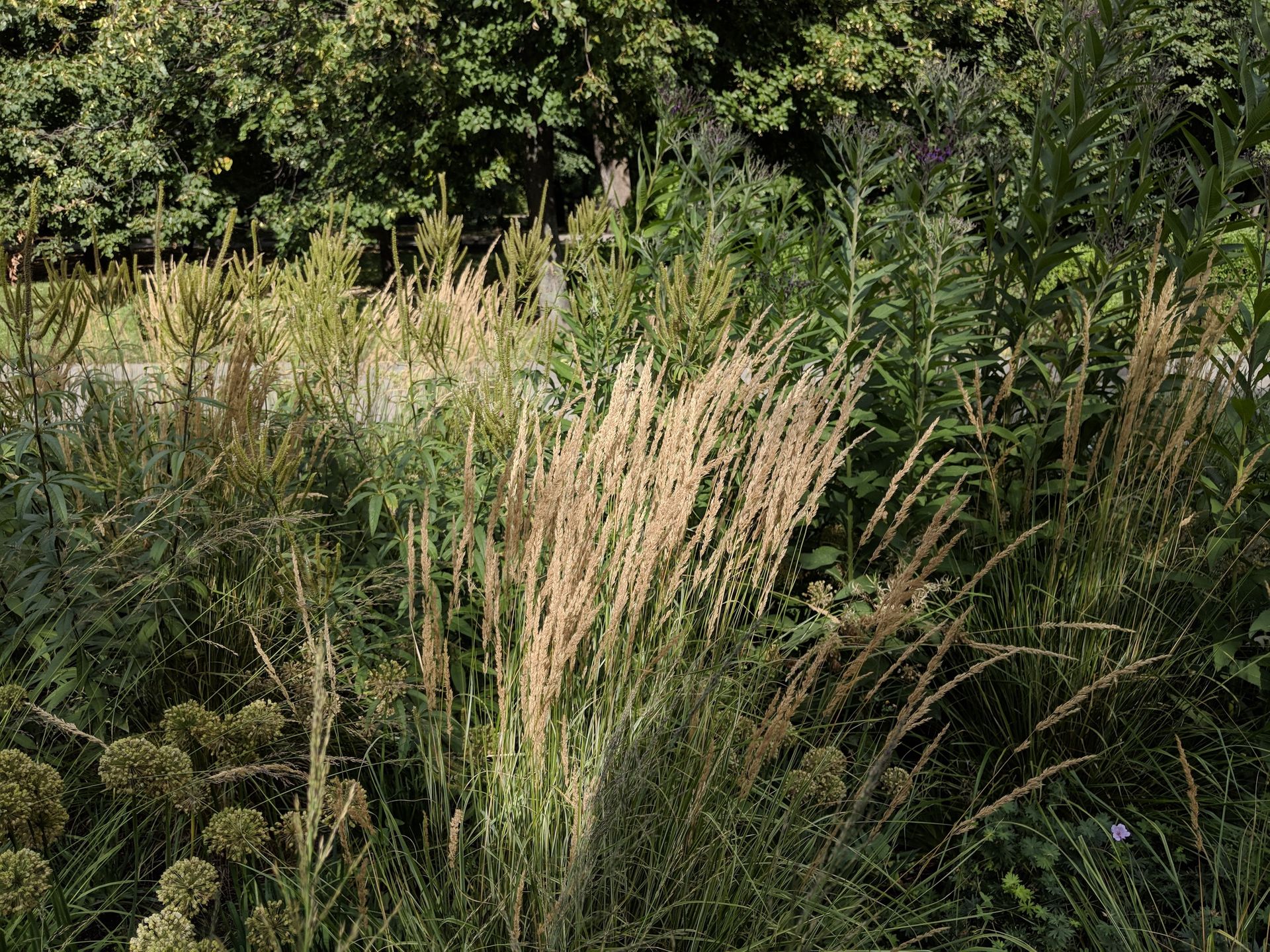 Google Pixel 3: podsumowanie przecieków 16