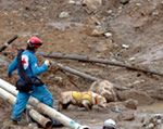 Kolumbia: Zawał w kopalni złota - co najmniej 21 zabitych