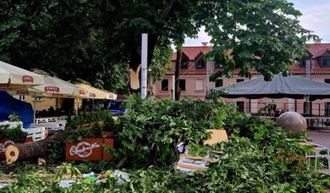 Konar spadł na namiot. Siedem osób w szpitalu