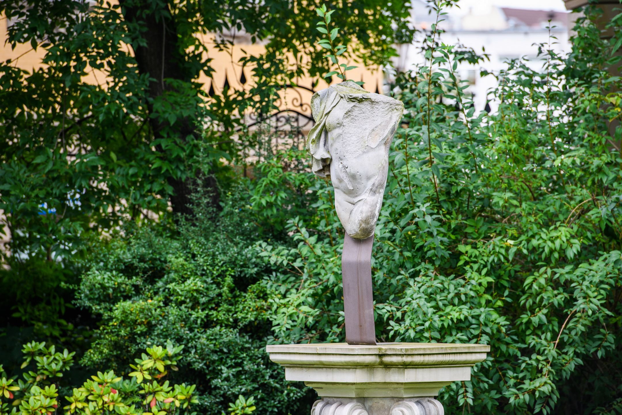 Czy Nikon D850 to rzeczywiście lustrzanka kompletna? Sprawdzamy w praktyce  [test + wideo] 79